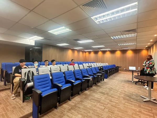 Theatre room